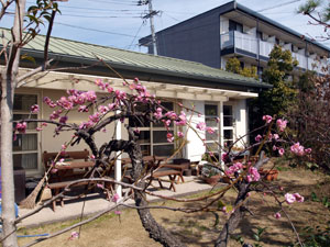 2011-2-26-1.jpg