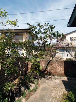 2011-2-26-2.jpg
