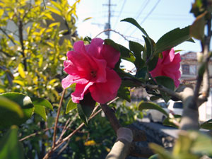 2011-2-26-3.jpg
