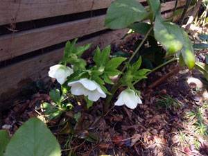 2011-2-26-5.jpg