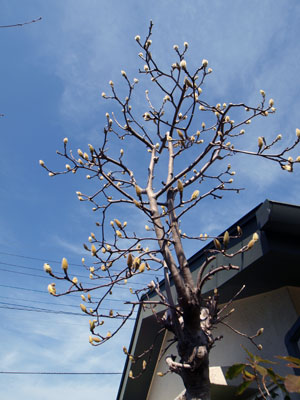 2011-2-26-7.jpg