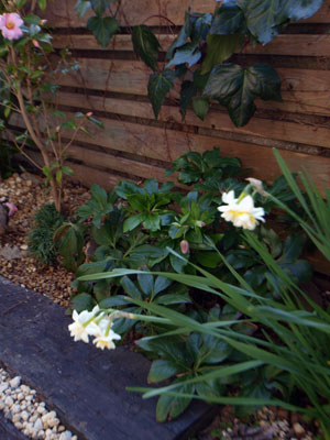2011-2-26-6.jpg