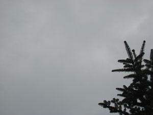 2011-11-11-1.jpg