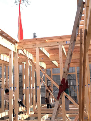 2013-01-06y3.jpg