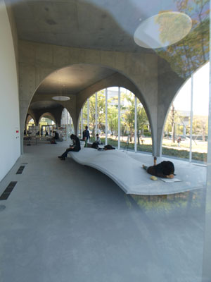 2013-04-13tamabi4.jpg