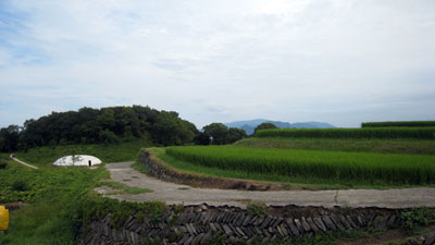 2013-08-26-74.jpg