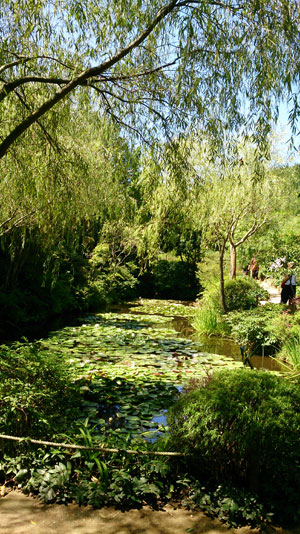 2013-08-27-37.jpg