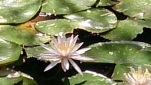 2013-08-27-58.jpg