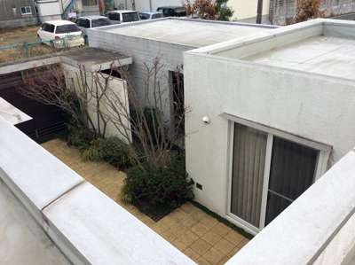 2014-01-07-1.JPG