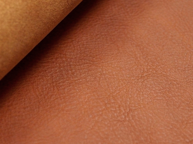 P9196319.jpg