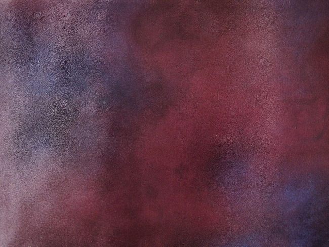 P8200442.jpg
