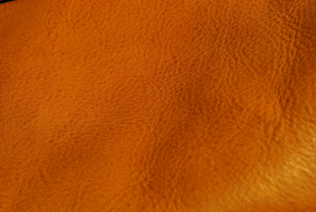 DSC_0224.JPG