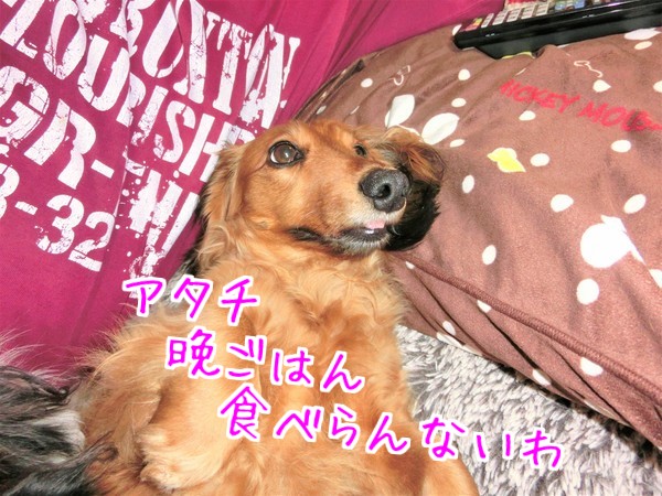 秋海
