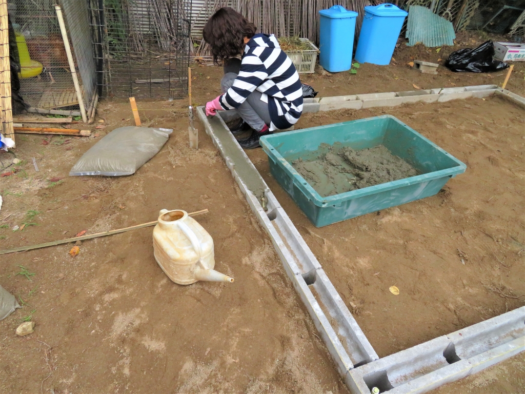 鶏小屋 DIY 秋海