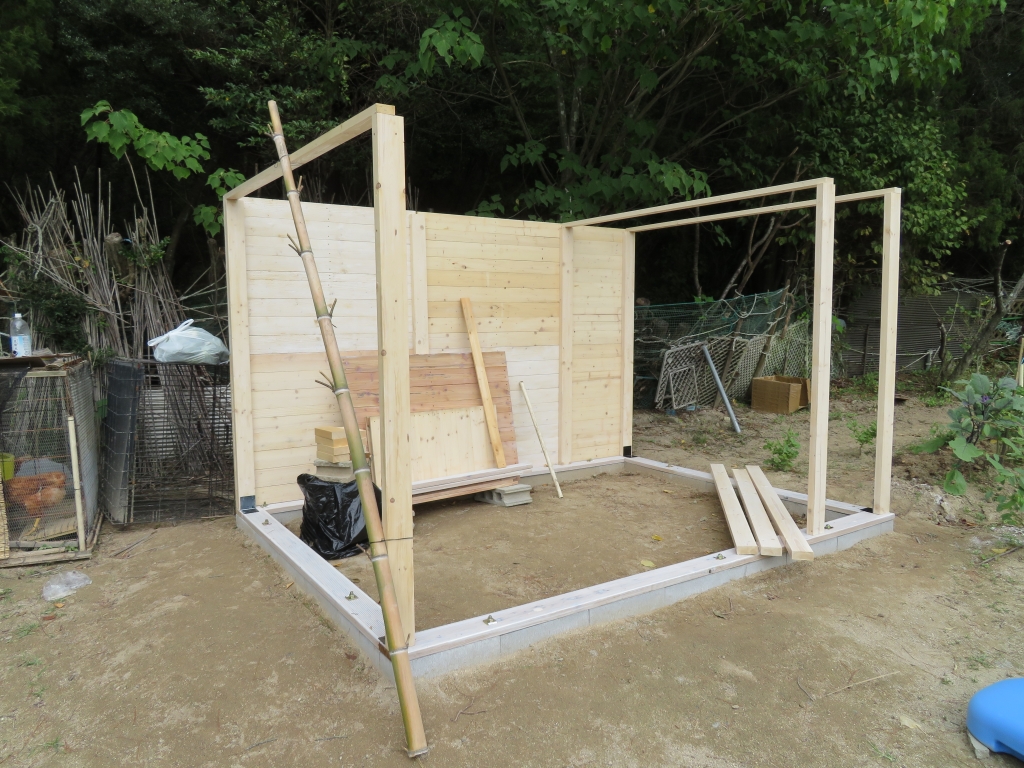鶏小屋 DIY 秋海