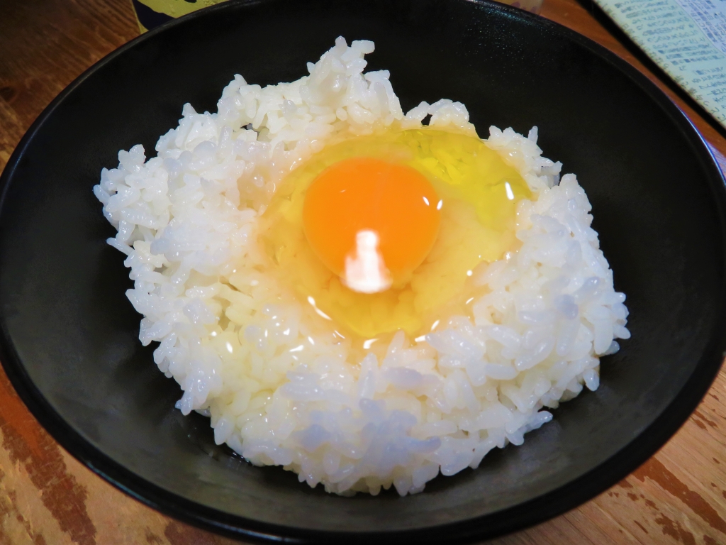 鶏小屋 DIY 秋海