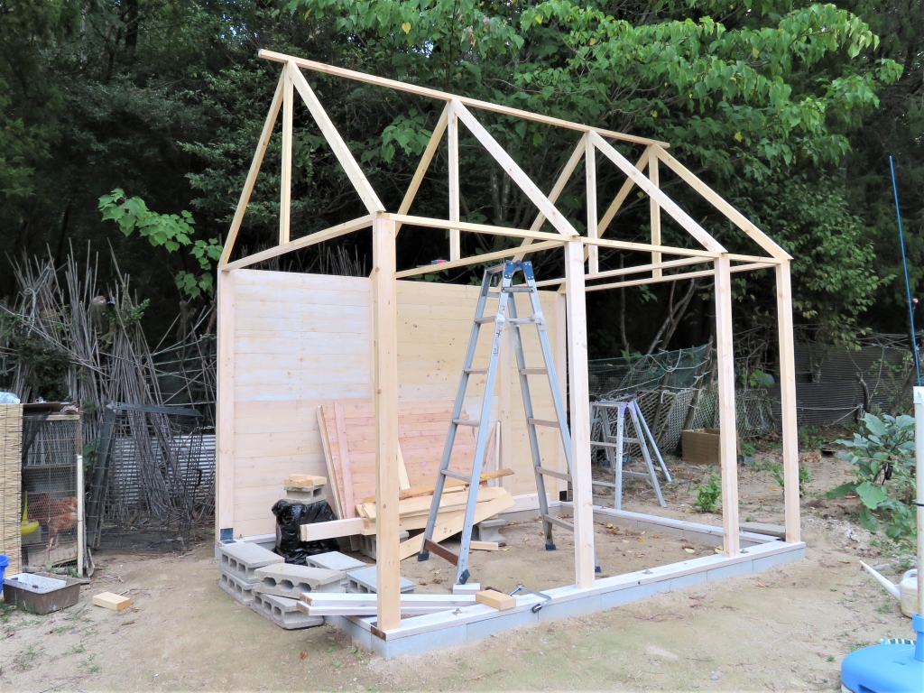 鶏小屋 DIY 秋海