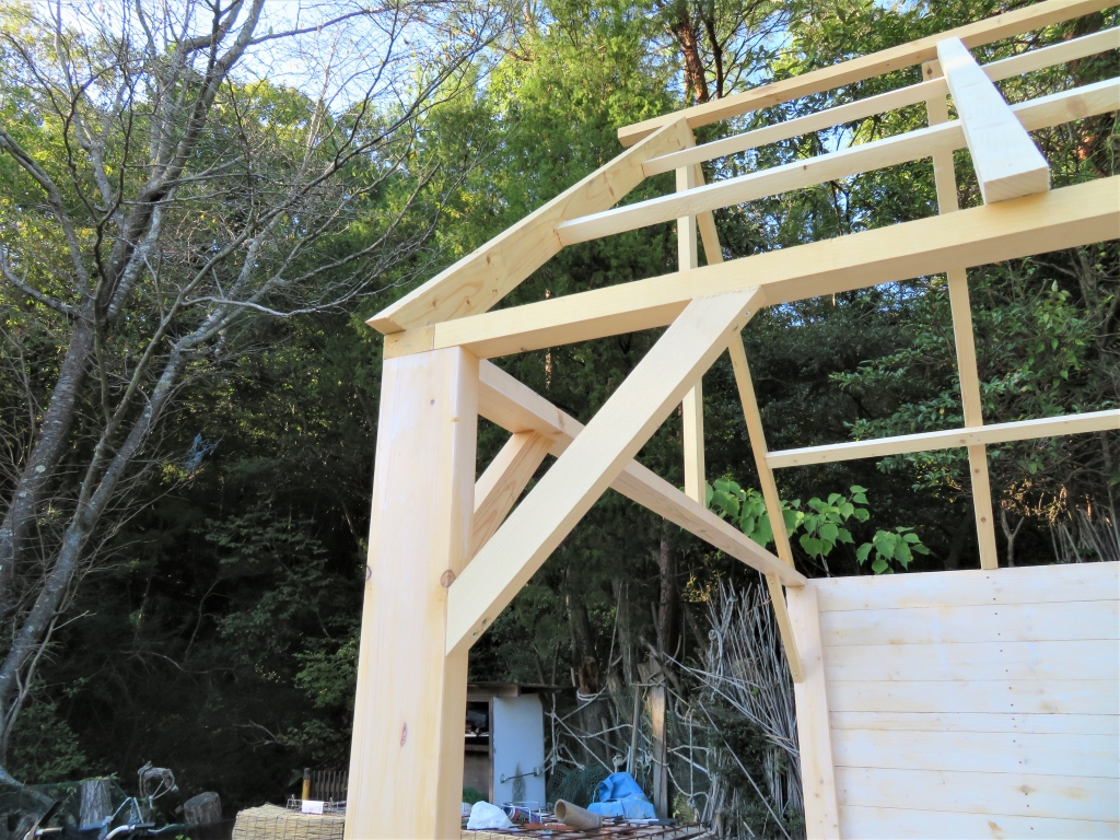 鶏小屋 DIY 秋海