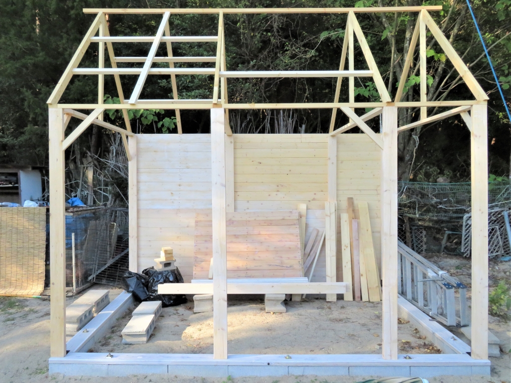 鶏小屋 DIY 秋海