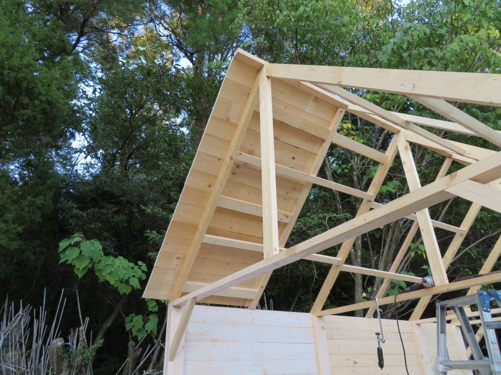 鶏小屋 DIY 秋海