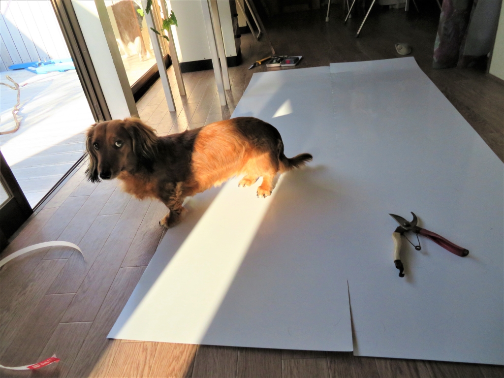 鶏小屋 DIY 秋海