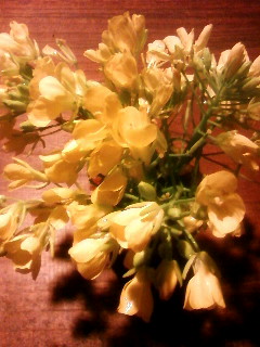 100417_211435.JPG