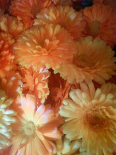 100528_121727.JPG