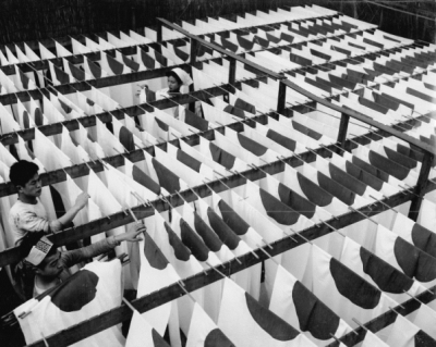 旗のお話 世界の国旗の歴史 由来 豆知識のブログ