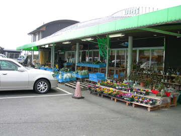 月ヶ瀬温泉ふれあい市場1