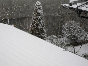 雪の風景