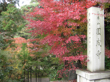 円成寺200811
