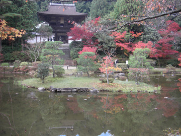 円成寺200811