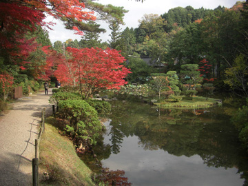 円成寺200811