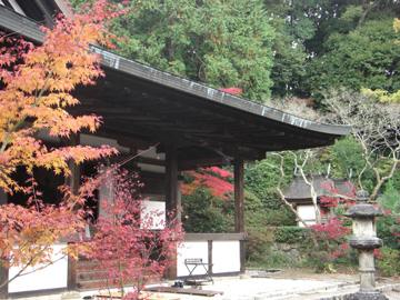 円成寺200811