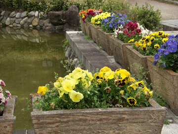 馬見丘陵公園 2009年4月