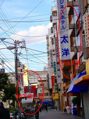 太洋