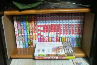 書棚カスタム2