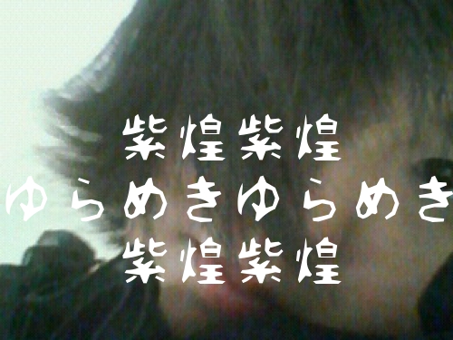 紫煌1