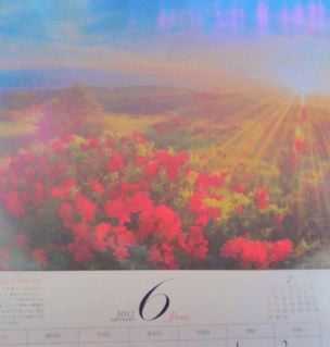 お気にカレンダー.jpg