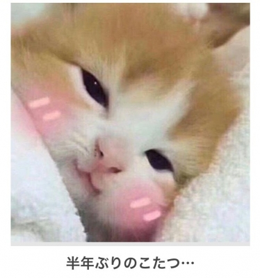 ねこほっぺ