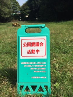 iPhoneImage.png