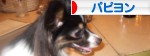 Please Click