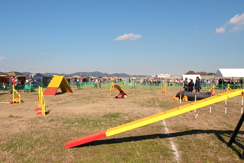 IMG_7687.JPG