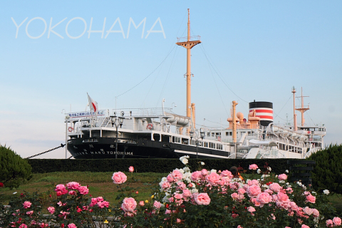 IMG_8102のコピー.jpg
