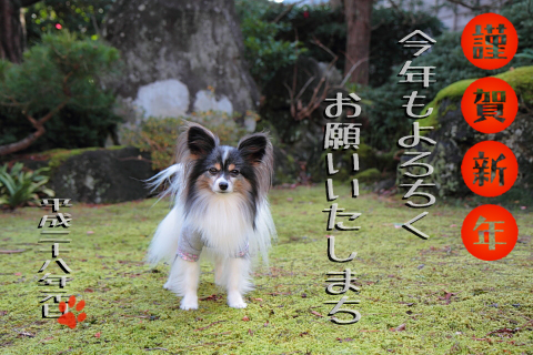 IMG_3808のコピー.jpg