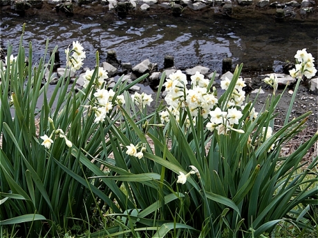 s-DSCN9718.jpg