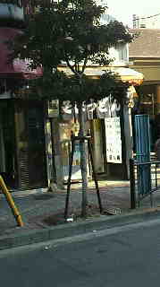 2012020208400000.jpg
