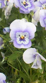 2012053108010000.jpg