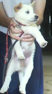 2012081015160000.jpg