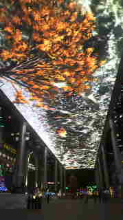 2012120520060000.jpg